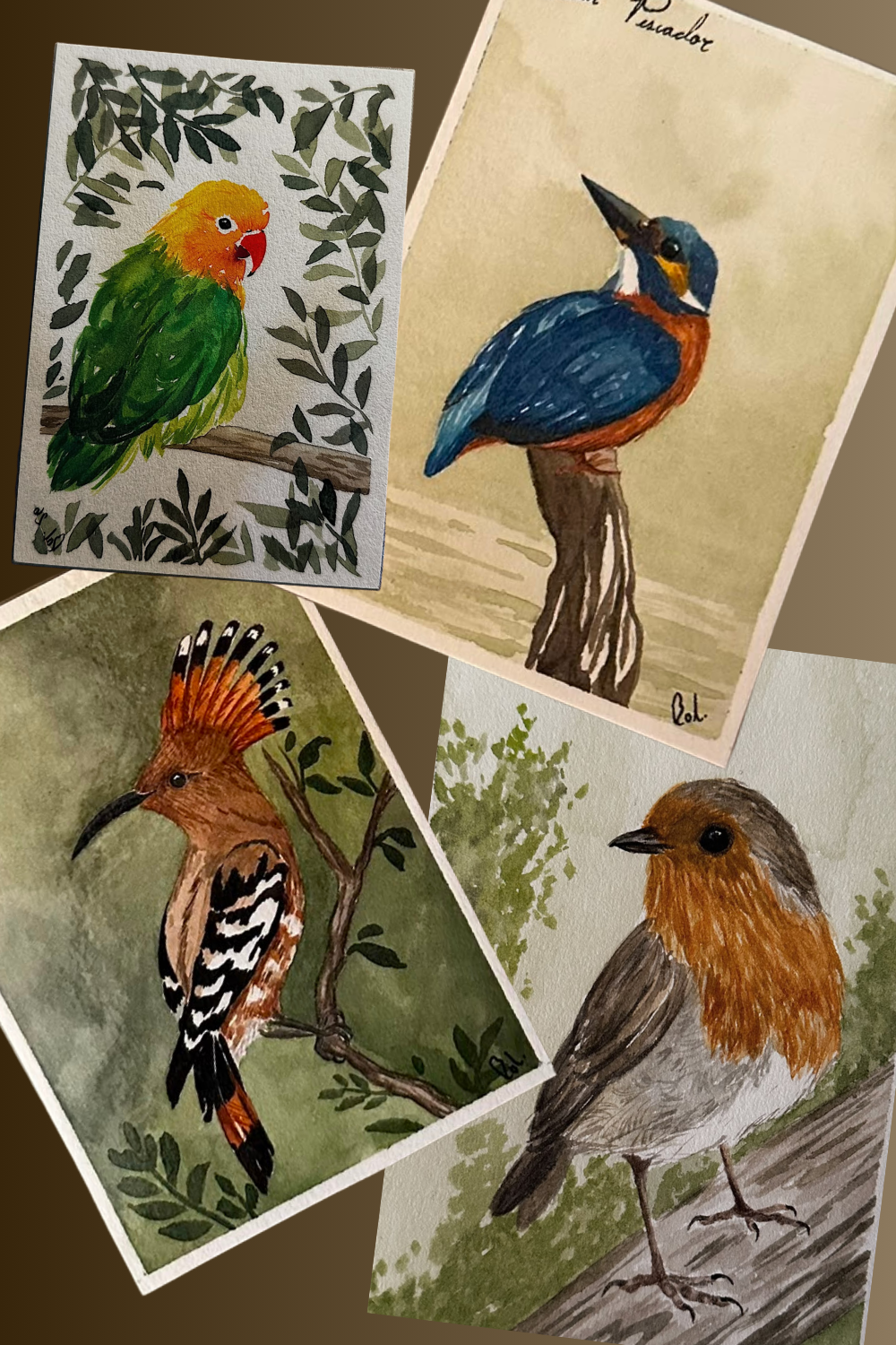 Aves