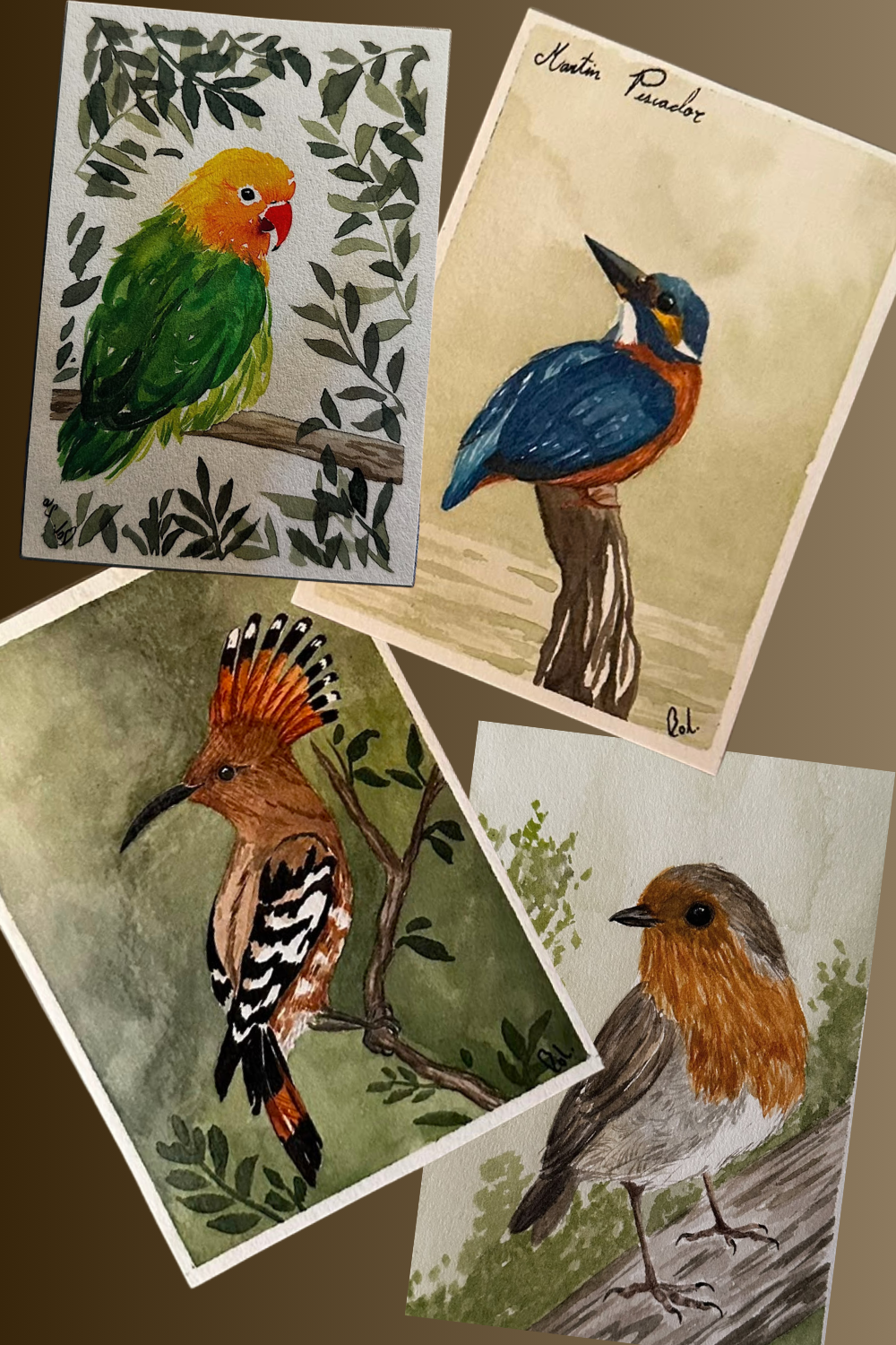 Aves