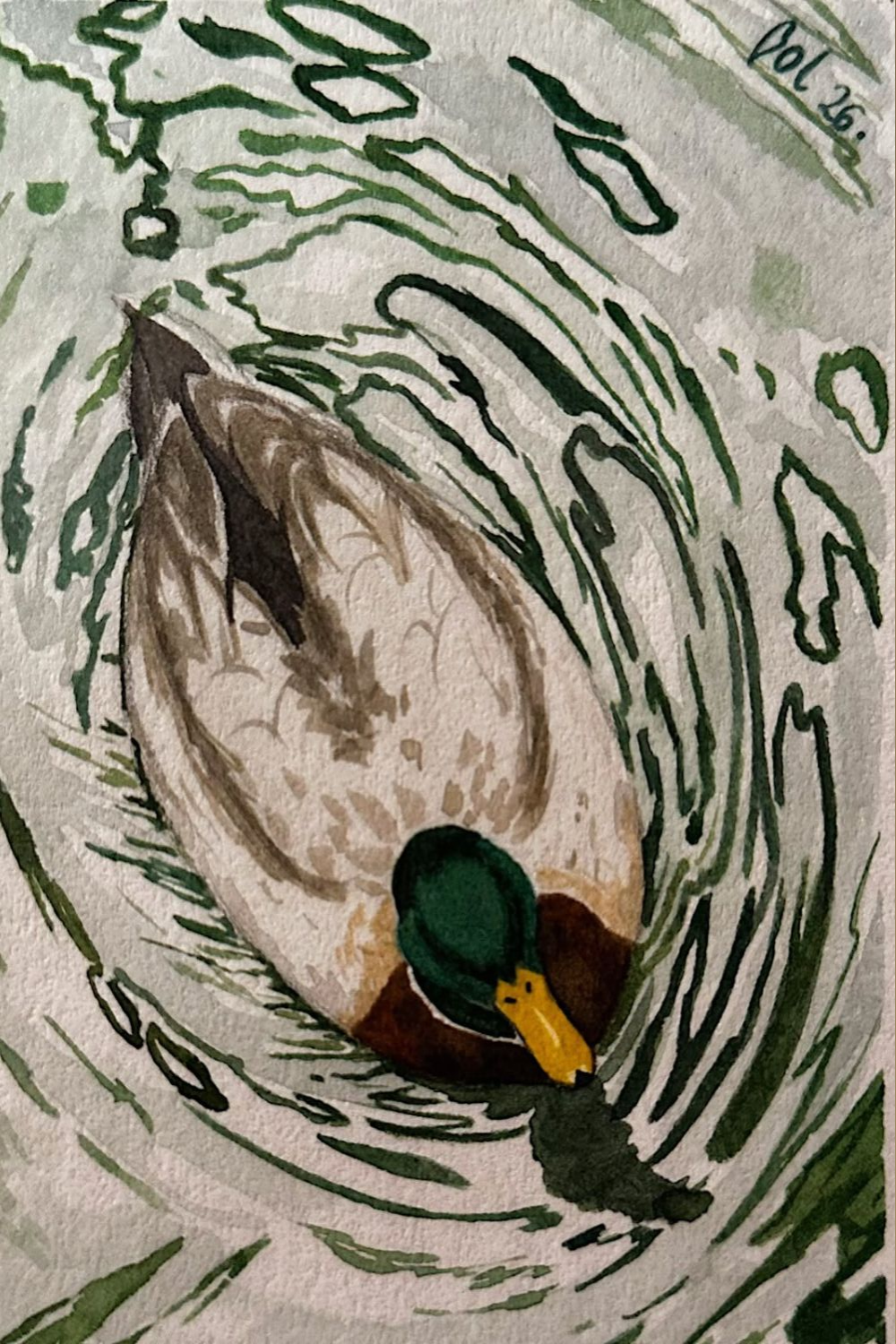 Patito