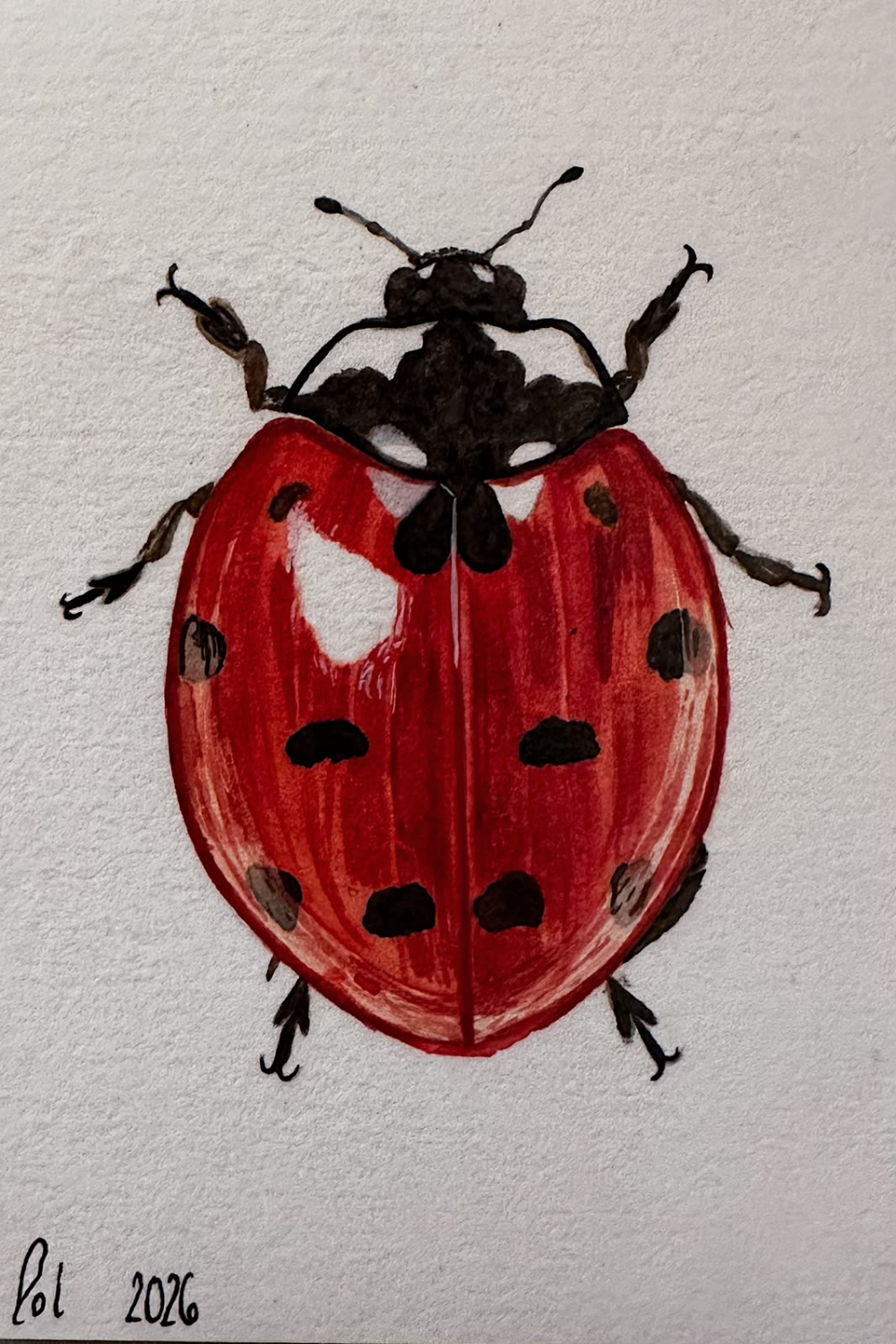Mariquita