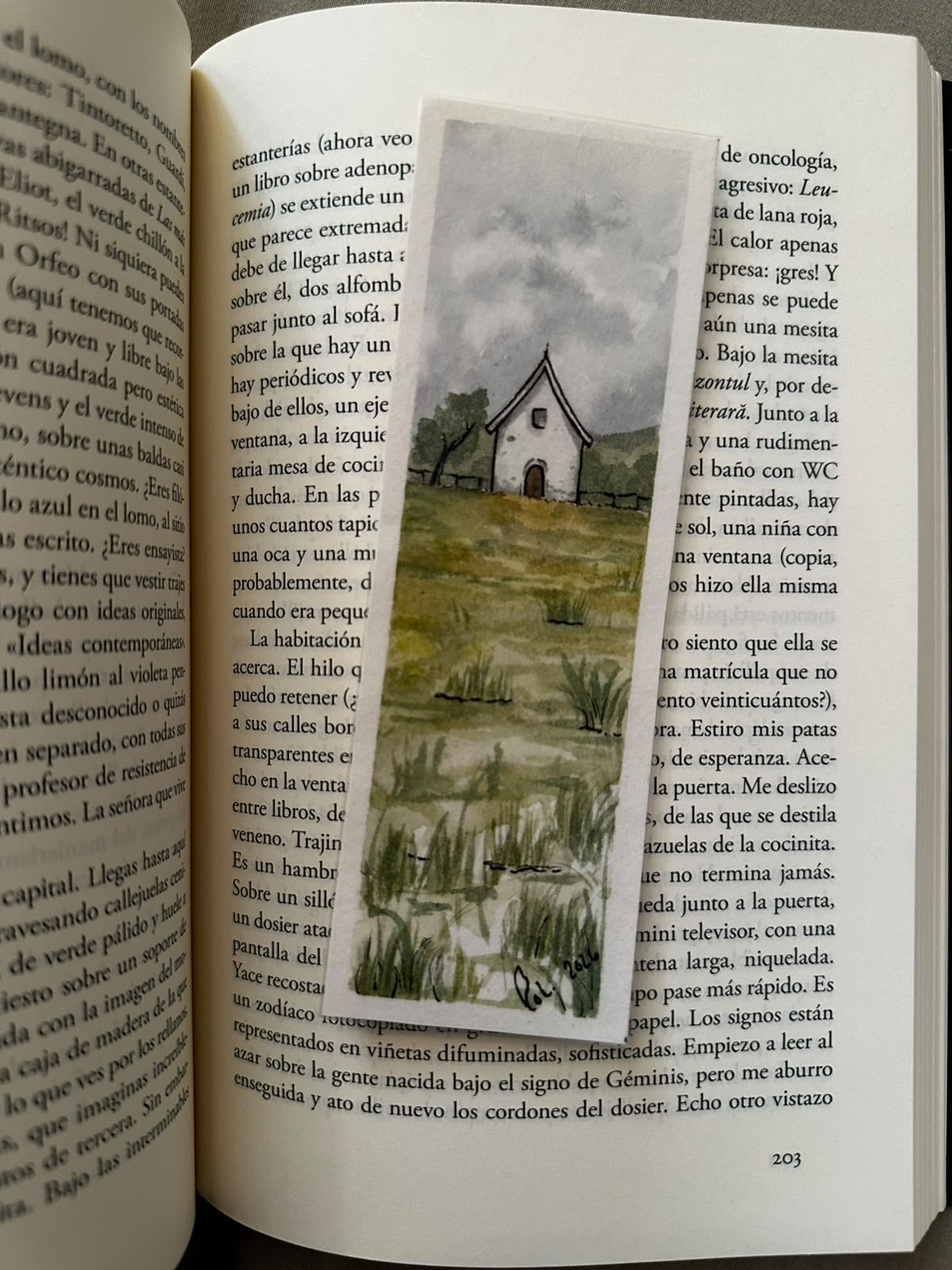 Fondo cabaña